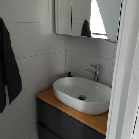 Blick Auf Den Magdalenenberg 菲林根-施文宁根