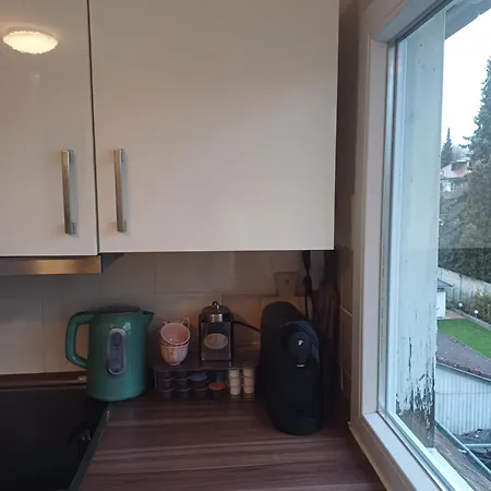 Blick Auf Den Magdalenenberg *