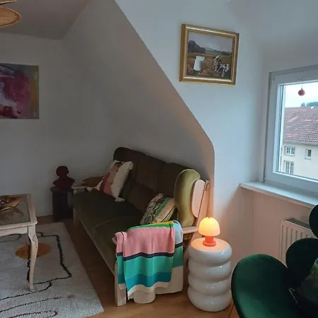 公寓 Blick Auf Den Magdalenenberg 菲林根-施文宁根