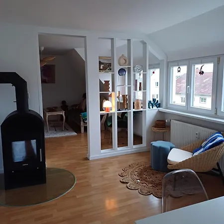 Blick Auf Den Magdalenenberg *