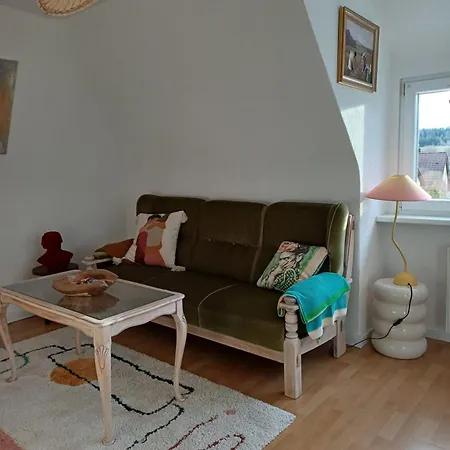 Blick Auf Den Magdalenenberg * 菲林根-施文宁根